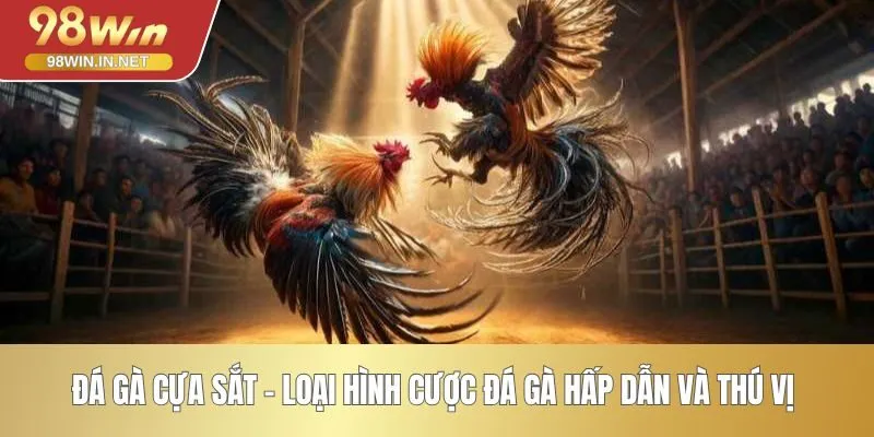 Đá Gà Cựa Sắt - Loại Hình Cược Đá Gà Hấp Dẫn Và Thú Vị 