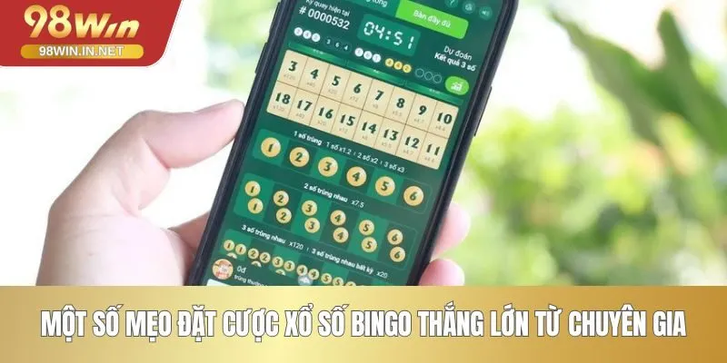 Một số mẹo đặt cược xổ số Bingo thắng lớn từ chuyên gia